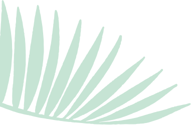 about-shape5-2