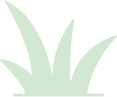 blog-post3-shape