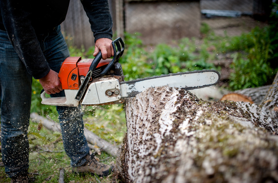 Stump Grinding Specialist in Sydney - GreenVine Stump Grinding