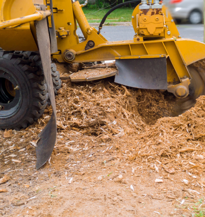 Stump Removal Services in Sydney Near Me