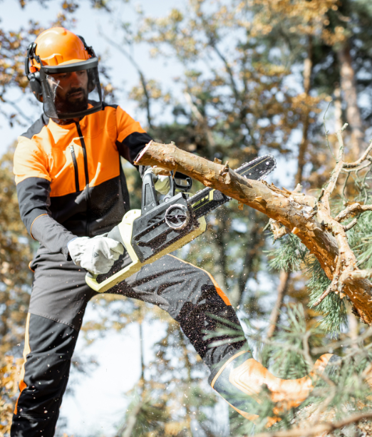 Tree Removal and Lopping around Sydney