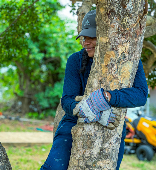 We are Tree Lovers in Sydney - Tree Removalist in Sydney